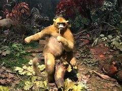 -陕西自然博物馆