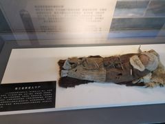 -巴音郭楞蒙古自治州博物馆