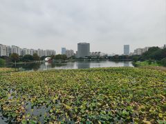-太子山公园(园东路)