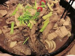 -老板恋上鱼(恒隆广场店)