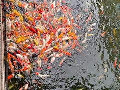 -番禺宾馆丽苑厅