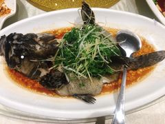 -强记海鲜·大排档(蛇口新街店)