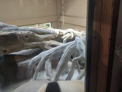 -宁波野生动物园