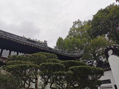 -豫园湖心亭茶楼