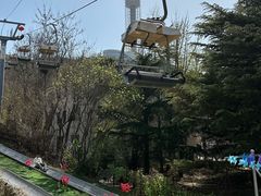 -富斯特索道