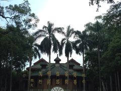 -中山大学学者灵芝(园南路店)