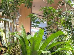 -gaga(深圳福田星河COCO Park店)