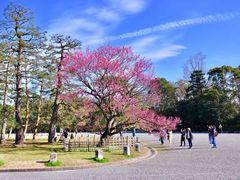 -京都御所