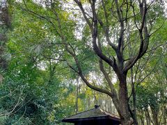 -洪湖悦兮半岛国际温泉度假村
