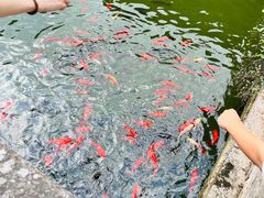 -宁波市保国寺古建筑博物馆