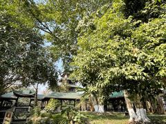 -桂湖森林公园