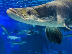 -多彩贵州城极地海洋世界