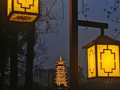 -洋湖国家湿地公园
