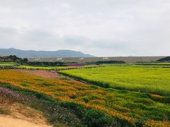 -光明小镇欢乐田园