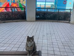 -海合安武汉极地海洋公园