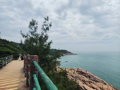 -广东惠东海龟国家级自然保护区
