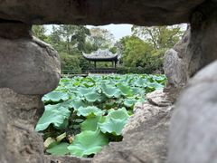 -无锡蠡湖国家湿地公园-蠡园