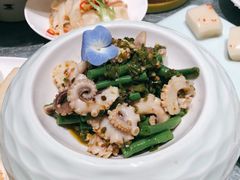 茶树菇炒鱿鱼-雀蓝川菜(奥体广场店)