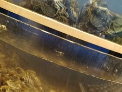 -海天盛宴新派海鲜自助餐厅(群力店)
