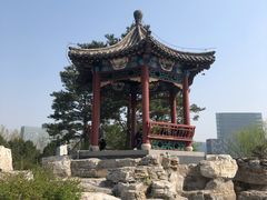 -大兴滨河森林公园