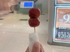 -羲和雅苑•北京烤鸭(国贸商城店)