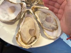 -千岛蚝高压锅生蚝·人参火锅(白云万达店)