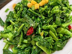 -君临七星生态酒店