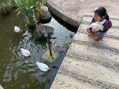 -灵玲国际马戏城