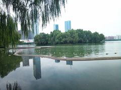-天鹅湖体育公园