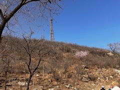 -白水寺森林公园