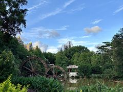 -金山植物公园