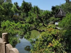 -上海醉白池公园