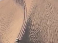 -沙漠世界地质公园