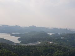 -深圳仙湖植物园-停车场