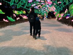 -沈阳奥体冰雪嘉年华