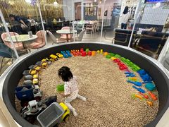 -Lilliput粒粒堡亲子餐厅(置汇旭辉店)