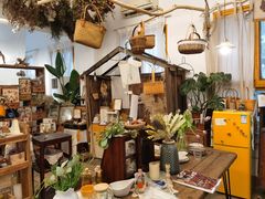 -知物癖(牛王庙店)