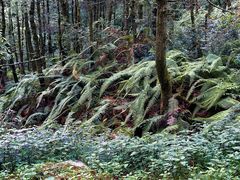 -苍山感通索道