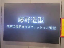 -藤野造型