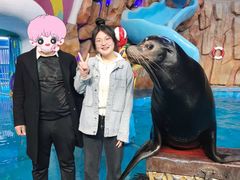 -烟台海昌鲸鲨海洋公园