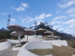 -板樟山森林公园