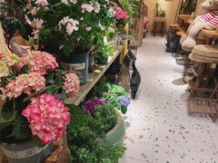 -萤火虫咖啡(后海店)