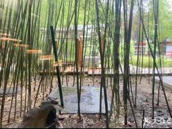 -王府花园酒店·宴会厅