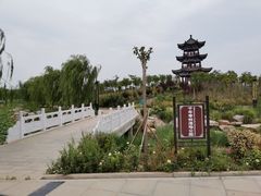 -千年枣林游览区
