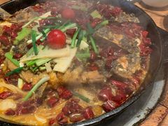 -老板恋上鱼(恒隆广场店)