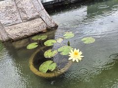 -石台牯牛降景区