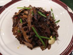 -蒙古大营(朝阳公园店)