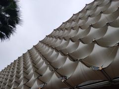 -渔人码头(洛溪店)