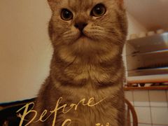 -猫友咖啡店(玉林西路店)