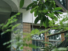 -广州珠江公园
